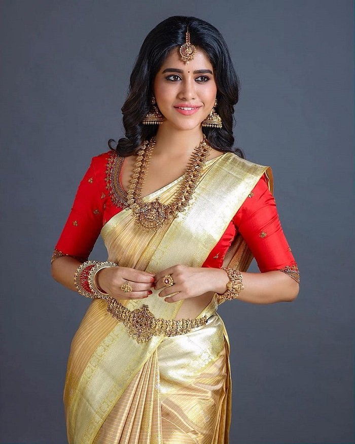 nabha natesh 9